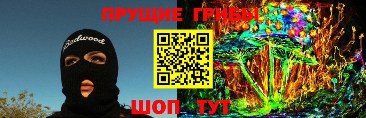 Псилоцибиновые грибы MAGIC MUSHROOMS  Вход с VPN  цены   Назрань 